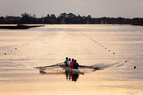 Rowing training on a lake in the evening
