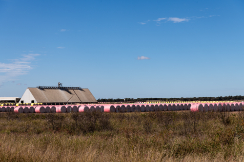 Rows of pink covered cotton bales and farm building with blue sky - Australian Stock Image