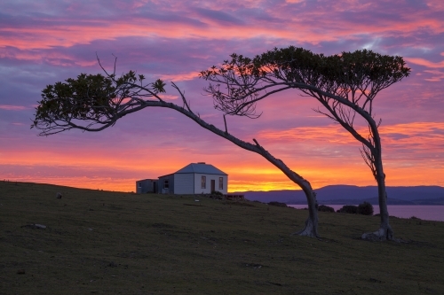 Ruby Hunt's Cottage at sunset - Maria Island National Park - Tasmania - Australia - Australian Stock Image