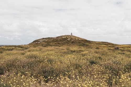 rugged coastal walks through grassy scrubland at port fairy - Australian Stock Image