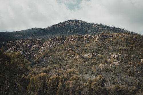Rugged green countryside at Blowering Reservoir - Australian Stock Image