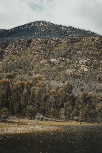 Rugged green countryside at Blowering Reservoir - Australian Stock Image