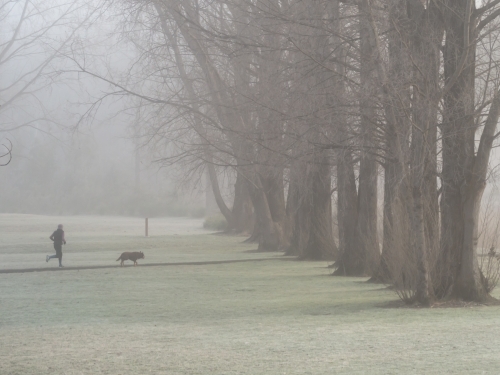 Runner and dog running towards big trees in the fog