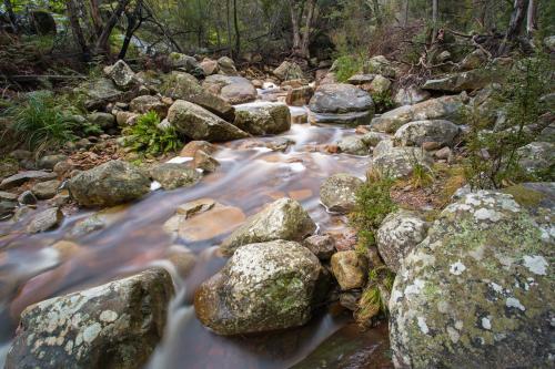 Running stream flowing among boulders in the forest