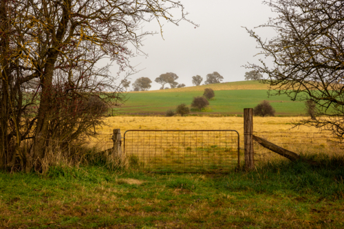 Rural Australia country scene of paddock - Australian Stock Image