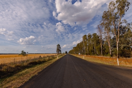 Rural country road on the outskirts of Parkes NSW - Australian Stock Image