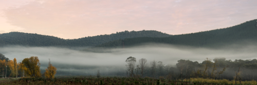 Rural country Victoria shrouded in morning fog - Australian Stock Image