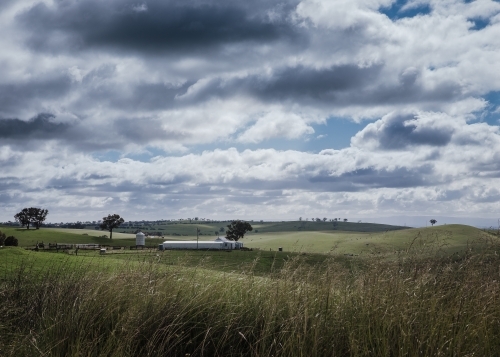 Rural farmland landscape with horizon under cloudy sky - Australian Stock Image