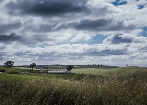 Rural farmland landscape with horizon under cloudy sky