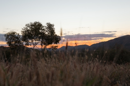 Rural landscape at dusk - Australian Stock Image