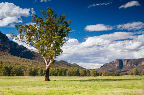 Rural landscape in the Hunter Valley near Muswellbrook in New South Wales, Australia - Australian Stock Image