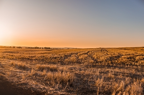 Rural landscape with horizon in late afternoon - Australian Stock Image