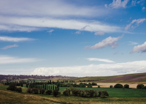 Rural landscape with horizon under blue sky