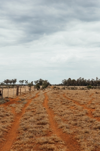 Rural landscape with tyre tracks on red dirt - Australian Stock Image