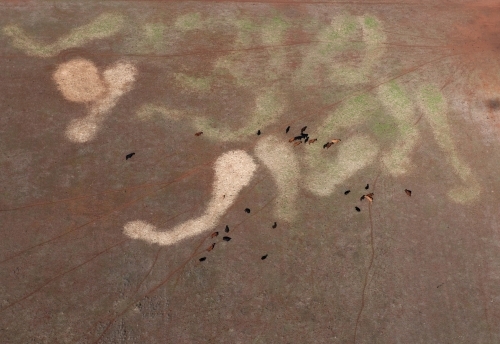Rural Outback Aerial Landscape - Australian Stock Image