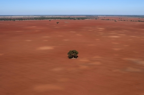 Rural Outback Aerial Landscape With One Tree - Australian Stock Image