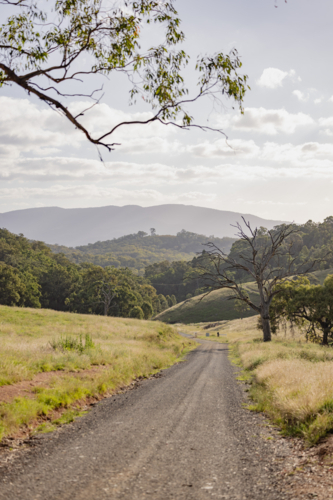 Rural road through green fields under cloudy sky with rolling hills - Australian Stock Image