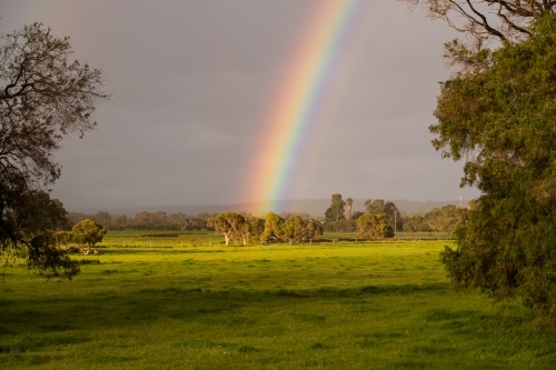 Rural scene with a rainbow hitting the trees - Australian Stock Image