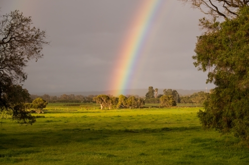 Rural scene with a rainbow hitting the trees