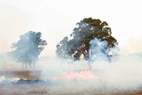 Rural scene with smoke from burning stubble