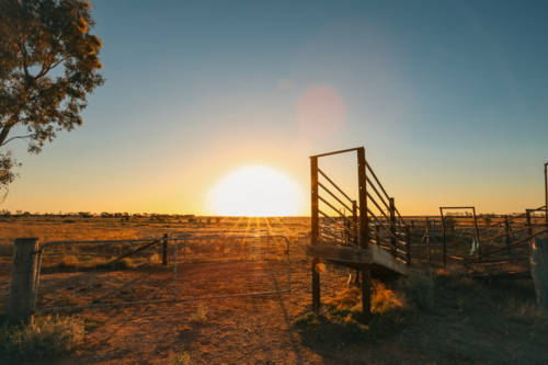 Rural stock yards in Central Victoria with vibrant sunset - Australian Stock Image