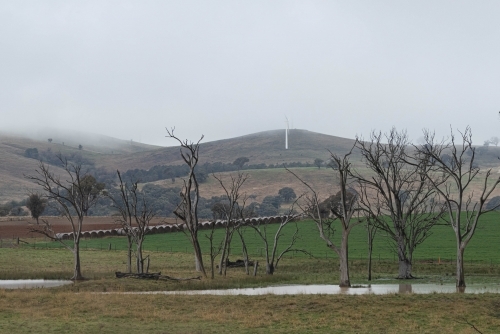 rural view of wind turbines under low cloud on the hillside - Australian Stock Image