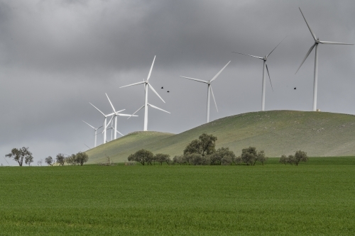 Rural wind turbines - Australian Stock Image