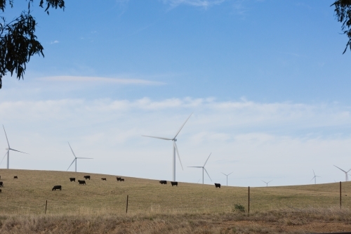 Rural Wind Turbines in a farm setting - Australian Stock Image
