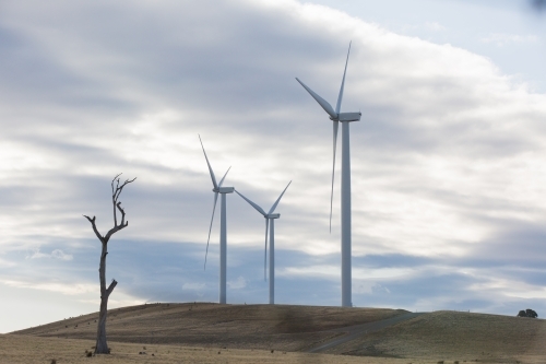 Rural Wind Turbines in a farm setting - Australian Stock Image