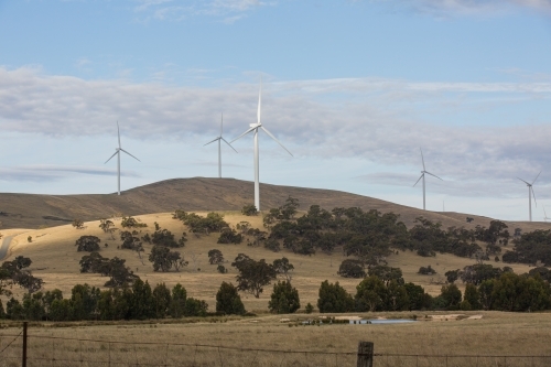 Rural Wind Turbines in a farm setting