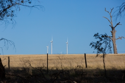 Rural Wind Turbines in a farm setting - Australian Stock Image