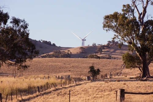Rural Wind Turbines in a farm setting with a paddock in the foreground