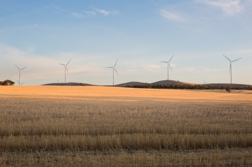 Rural Wind Turbines in a farm setting with evening sunlight across the paddocks - Australian Stock Image