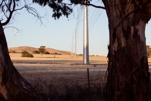 Rural Wind Turbines in a farm setting with powerlines in the foreground - Australian Stock Image