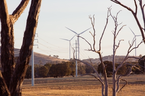 Rural Wind Turbines in a farm setting with powerlines in the foreground - Australian Stock Image
