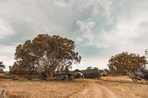 Rustic shed on rural country property on dull overcast day - Australian Stock Image