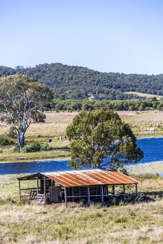 Rusty shed in a paddock - Australian Stock Image