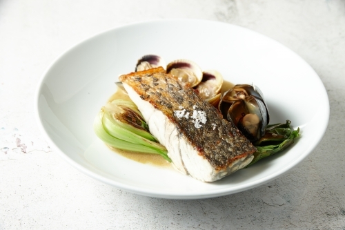 Salmon with clams and mussels - Australian Stock Image