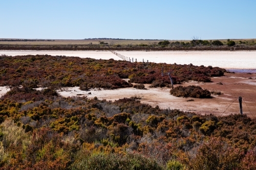 Salt crusted claypan on farming land, horizontal - Australian Stock Image