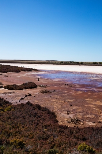 Salt crusted claypan on farming land, vertical - Australian Stock Image