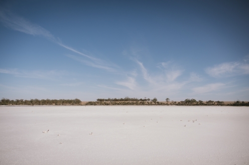 Salt lake in the Eastern Wheatbelt in Western Australia