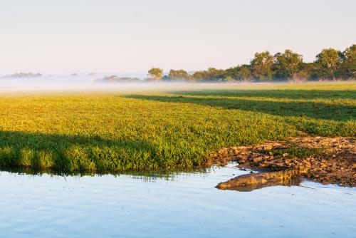 Saltwater Crocodile resting on the banks of a river - Australian Stock Image