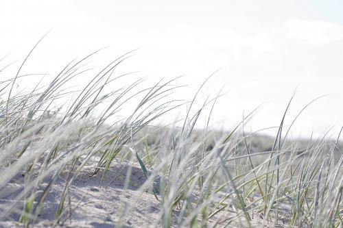 Sand Bank - Australian Stock Image