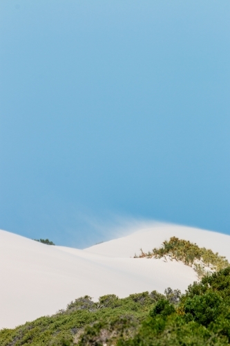 sand drifting on white dunes under blue sky vertical - Australian Stock Image