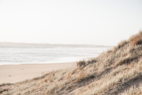 Sand dune and grasses with ocean in background at sunset, horizontal - Australian Stock Image