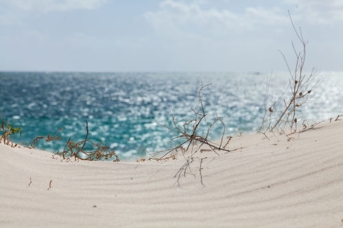 Sand dunes and the sea patterns change in the wind - Australian Stock Image