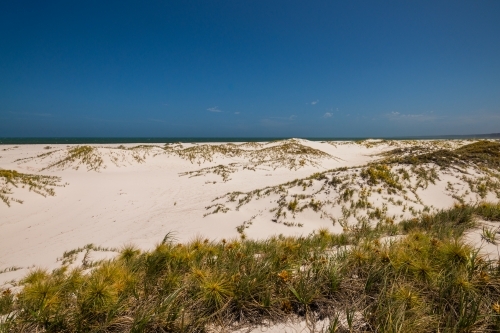 sand dunes by the coast - Australian Stock Image