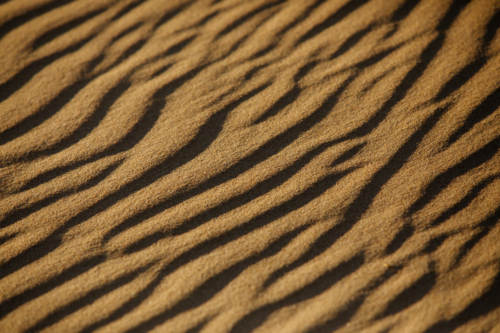 Sand patterns in warm afternoon light - Australian Stock Image