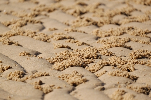 Sand pellets left behind from light blue soldier crabs - Australian Stock Image