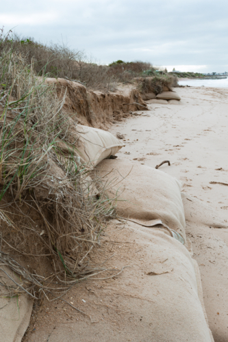 Sandbags for erosion control at South Australian Beach - Australian Stock Image